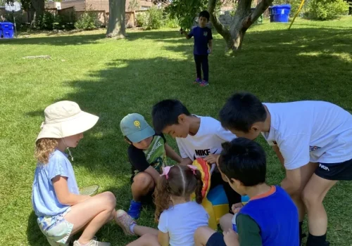 IMG_2355-scaled IMG_2355-scaled